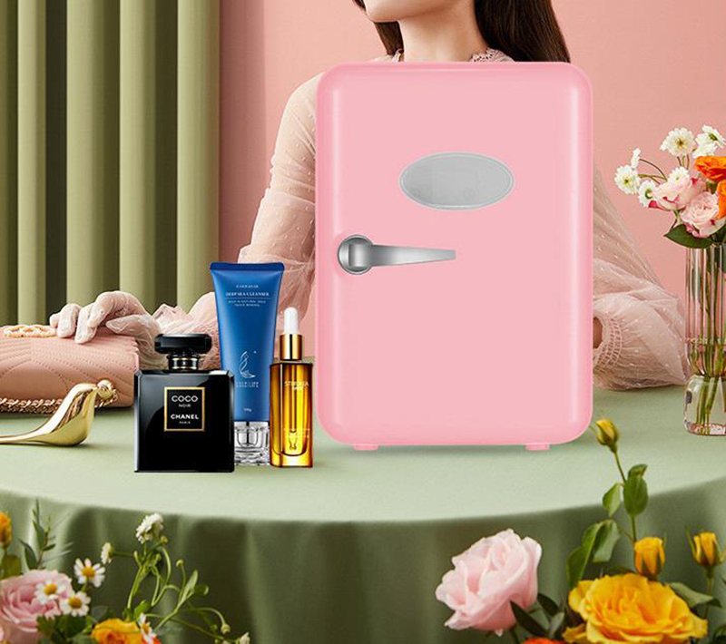 Réfrigérateurs à double usage  - Beauty Makeup Fridge avis et prix